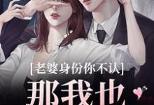 老婆身份你不认？那我也不要你了完整版小说，老婆身份你不认？那我也不要你了江南谢清舟试读更新章节-火箭文学