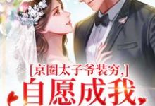 京圈太子爷装穷，自愿成我的金丝雀热门小说排行榜京圈太子爷装穷，自愿成我的金丝雀秦婕妤殷权免费小说全本-火箭文学