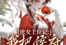 (全文)庶女上位记:我把侯府拿捏了完结小说推荐七娘萧战全本书籍阅读-火箭文学