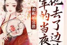 青妩燕昭被赐婚常胜将军的当夜，他去了边关全本免费在线阅读-火箭文学