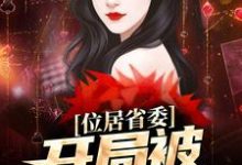 (全文)位居省委，开局被妻子举报苏玉黎锦最新完结小说位居省委，开局被妻子举报免费小说全本-火箭文学