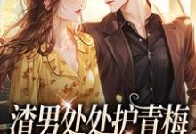 渣男处处护青梅，重生改嫁他急了方毅沈绮热门小说排行榜渣男处处护青梅，重生改嫁他急了免费小说-火箭文学