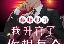 (全文)巅峰权力：我升官了你想复合（林磊）试读更新章节巅峰权力：我升官了你想复合免费小说-火箭文学