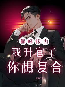 (全文)巅峰权力：我升官了你想复合（林磊）试读更新章节巅峰权力：我升官了你想复合免费小说