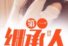 第一继承人最新完结小说第一继承人徐飞免费小说-火箭文学