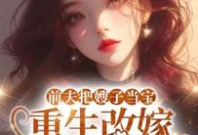(全文)前夫把嫂子当宝，重生改嫁不原谅免费小说全本，夏晚晴试读更新章节-火箭文学