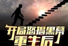 开局怒揭黑幕，重生后整顿官场（陈知行）全章小说阅读-火箭文学