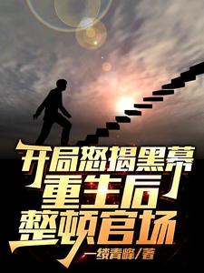 开局怒揭黑幕，重生后整顿官场完整版小说，开局怒揭黑幕，重生后整顿官场陈知行全章小说阅读
