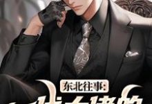 东北往事：一代大佬的成功之路完整版小说，东北往事：一代大佬的成功之路王晨马三全章小说阅读-火箭文学