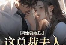 离婚就崛起,这总裁夫人她不做了(苏心瑶南羽陌)全章小说阅读-火箭文学