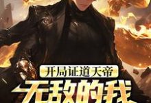开局证道天帝，无敌的我在地球乱杀推荐完结小说，开局证道天帝，无敌的我在地球乱杀叶凌天叶小雨免费小说全本-火箭文学