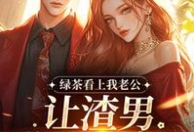 绿茶看上我老公，让渣男哄我私奔？（沈延仲舒玉兰）全章小说阅读-火箭文学