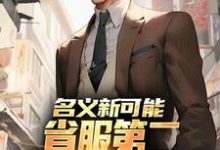 名义新可能:省服第二能否逆转大局萧承李妙灵完结小说推荐,名义新可能:省服第二能否逆转大局全章小说阅读-火箭文学