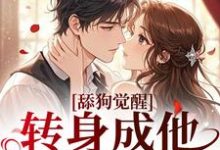 (全文)舔狗觉醒,转身成他高攀不起(舒念沈晏宸)免费小说舔狗觉醒,转身成他高攀不起试读更新章节-火箭文学