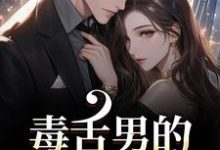 (全文)毒舌男的温柔攻势盛京御宋听晚全本免费在线阅读-火箭文学