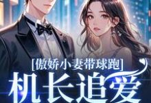 (全文)傲娇小妻带球跑，机长追爱不停歇(顾予琛徐歆薇)全本免费在线阅读-火箭文学