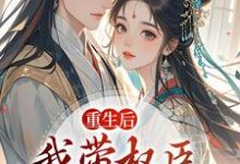 重生后，我带权臣杀入前夫府内沈月昭陆明渊最新完结小说，重生后，我带权臣杀入前夫府内全本免费在线阅读-火箭文学