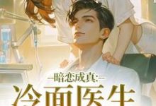 暗恋成真：冷面医生不好追宁雨莟顾懿渊完结小说推荐，暗恋成真：冷面医生不好追全章小说阅读-火箭文学