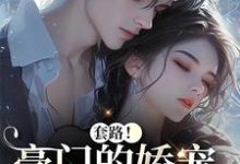 套路！豪门的娇宠千金撩夫了（颜亦辰梵晞悦）全章小说阅读-火箭文学