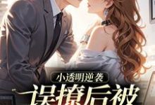 误撩后被大佬宠上天（许惟昭方肃礼）全本书籍阅读误撩后被大佬宠上天完整版小说-火箭文学