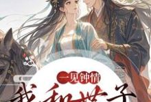 (全文)一见钟情,我和世子天生一对(沈如风苏云锦)试读更新章节一见钟情,我和世子天生一对免费小说-火箭文学