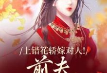 上错花轿嫁对人！前夫追悔莫及推荐完结小说，上错花轿嫁对人！前夫追悔莫及萧念窈陆奉行免费小说全本-火箭文学