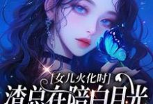 (全文)女儿火化时，渣总在陪白月光女儿过生日安安傅庭渊全本免费在线阅读-火箭文学