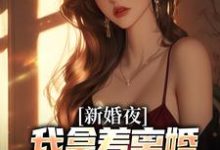 新婚夜，我拿着离婚协议黯然离场推荐完结小说新婚夜，我拿着离婚协议黯然离场(叶修远白若雪)免费小说全本-火箭文学