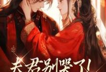 (全文)夫君别哭了!我来替你虐渣(沈婉宁韩云泽)全本书籍阅读夫君别哭了!我来替你虐渣免费小说全本-火箭文学