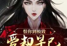 苏婉江忱序恨你到极致,爱却早已深入骨髓全本免费在线阅读-火箭文学