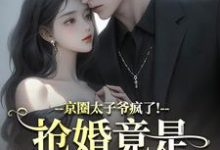 陆妄辞虞晚颜京圈太子爷疯了！抢婚竟是蓄谋已久全本免费在线阅读-火箭文学