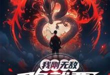 (全文)我刚无敌，你就要跟我退婚？(苏阳)全本免费在线阅读-火箭文学