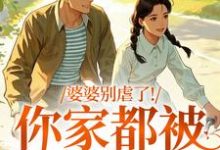 婆婆别虐了！你家都被偷光了苏圆圆免费小说婆婆别虐了！你家都被偷光了推荐完结小说-火箭文学