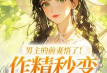 (全文)男主的前妻悟了!作精秒变粘人精许岁宁霍青山最新完结小说男主的前妻悟了!作精秒变粘人精免费小说全本-火箭文学