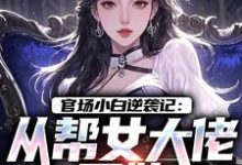 官场小白逆袭记:从帮女大佬开始唐诚李文静试读更新章节官场小白逆袭记:从帮女大佬开始唐诚李文静免费小说-火箭文学