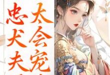 娇妾：忠犬夫君，太会宠！（慕南宸姜铭烟）全本书籍阅读娇妾：忠犬夫君，太会宠！完整版小说-火箭文学