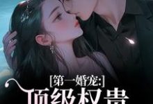 第一婚宠：顶级权贵追妻火葬场最新章节阅读第一婚宠：顶级权贵追妻火葬场(叶惊兰薄戎淮)试读更新章节-火箭文学