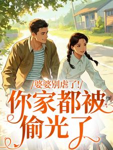 苏圆圆陆正安婆婆别虐了！你家都被偷光了全本免费在线阅读