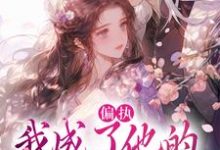 偏执：我成了他的掌中欢完整版小说，偏执：我成了他的掌中欢秋娘宋瞻试读更新章节-火箭文学