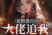 退婚逃出国，大佬追我满世界跑江野崎楚灵兮热门小说排行榜退婚逃出国，大佬追我满世界跑免费小说-火箭文学