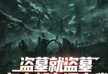 (全文)盗墓就盗墓，怎么都在调查我免费小说全本，吴邪白小白试读更新章节-火箭文学