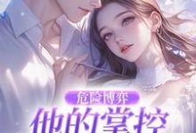 危险博弈：他的掌控与她的反杀叶时欢热门小说排行榜危险博弈：他的掌控与她的反杀免费小说-火箭文学