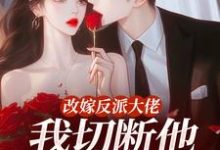 改嫁反派大佬，我切断他黑化根源！完整版小说，改嫁反派大佬，我切断他黑化根源！江知微萧著试读更新章节-火箭文学