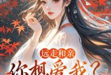 远走和亲，你想爱我？晚了（姜兰阮宜年）全章小说阅读-火箭文学