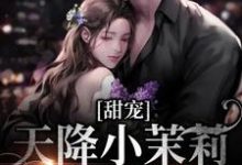 甜宠：天降小茉莉住进了我家热门小说排行榜甜宠：天降小茉莉住进了我家沈津南林听免费小说全本-火箭文学