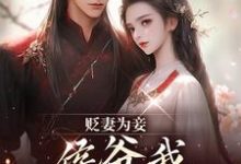 贬妻为妾，侯爷我不伺候啦最新完结小说贬妻为妾，侯爷我不伺候啦慎如余启免费小说-火箭文学