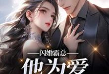 (全文)闪婚霸总，他为爱抛弃一切免费小说全本，苏绿柔厉墨焱试读更新章节-火箭文学