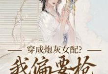 穿成炮灰女配？我偏要抢女主资源顾柠芸慕辰泽免费小说穿成炮灰女配？我偏要抢女主资源推荐完结小说-火箭文学