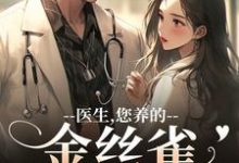 苏慕春丁嘉朗医生，您养的金丝雀要飞走了全本免费在线阅读-火箭文学