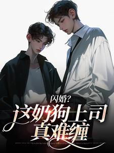 闪婚？这奶狗上司真难缠（赵芜鱼邓北辰）全章小说阅读